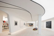 Art Collector's Loft