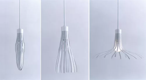 Prototypes 2006