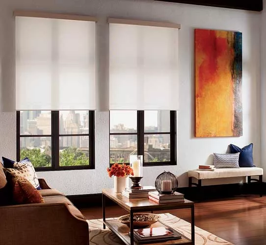 QMotion Roller Shades