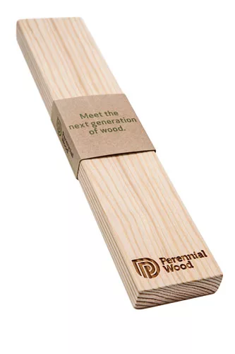 Perennial Wood
