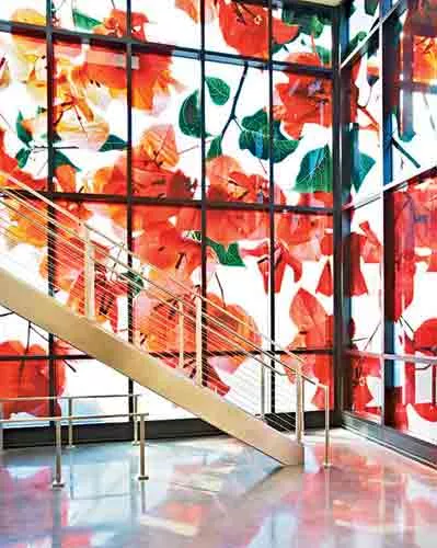 Weil Studio Collection