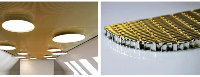 Composite Mesh Plate