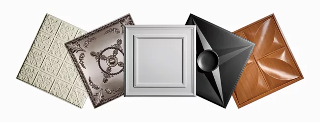Thermoformed Drop-Out Ceiling Panels