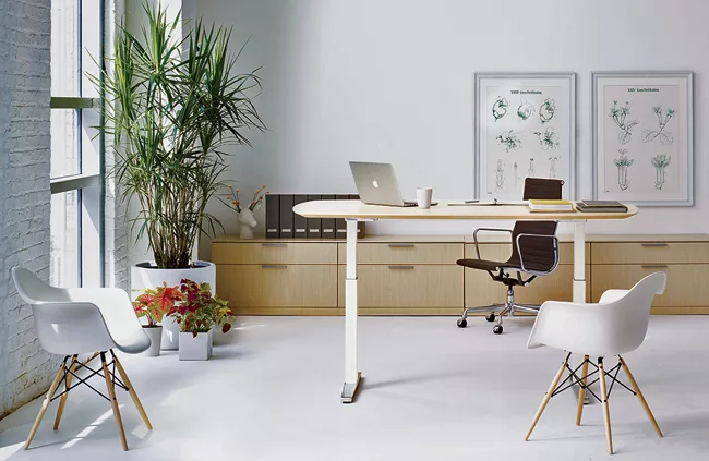 Renew Sit-to-Stand