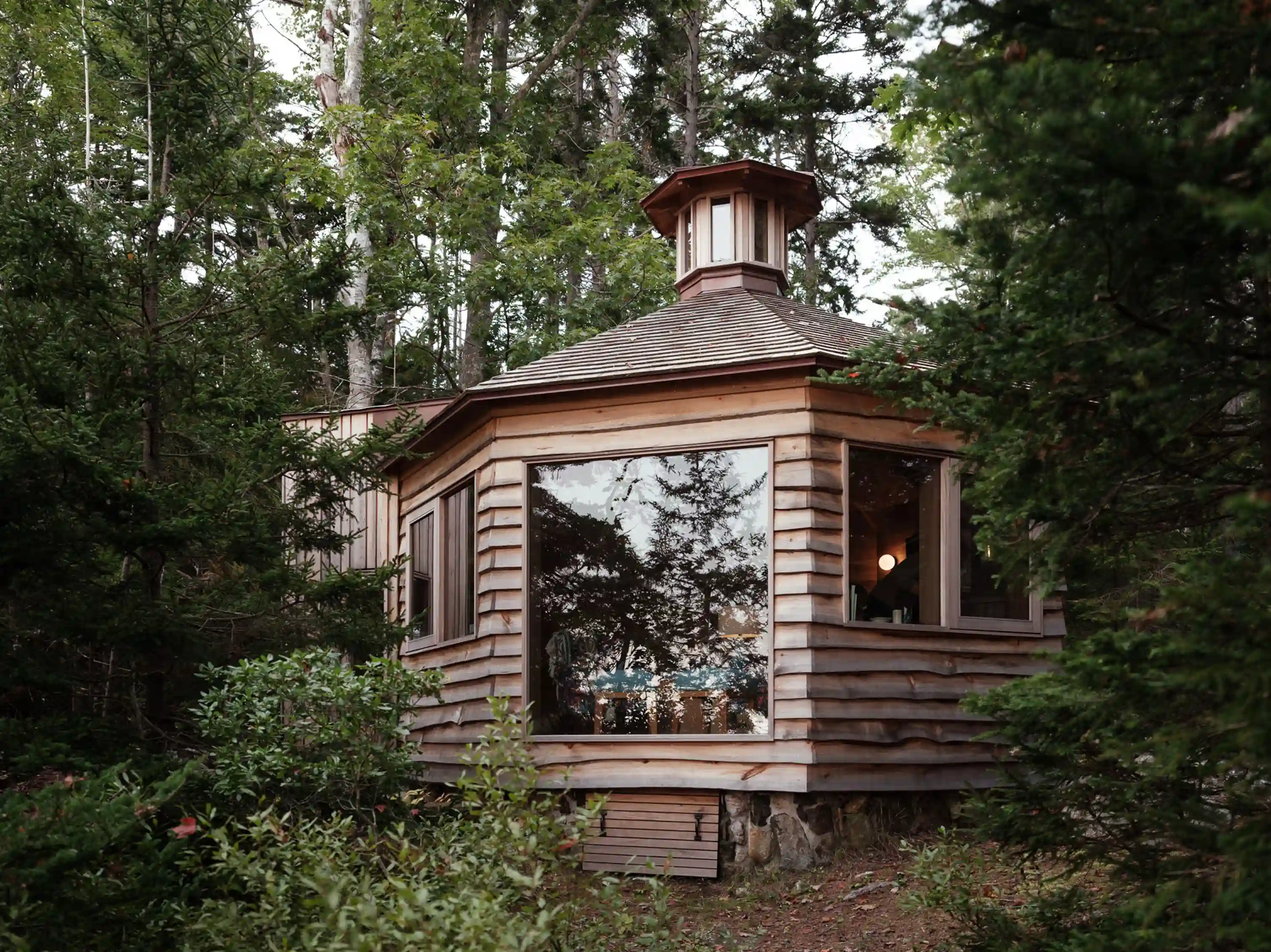 Pine Cover Woodhull