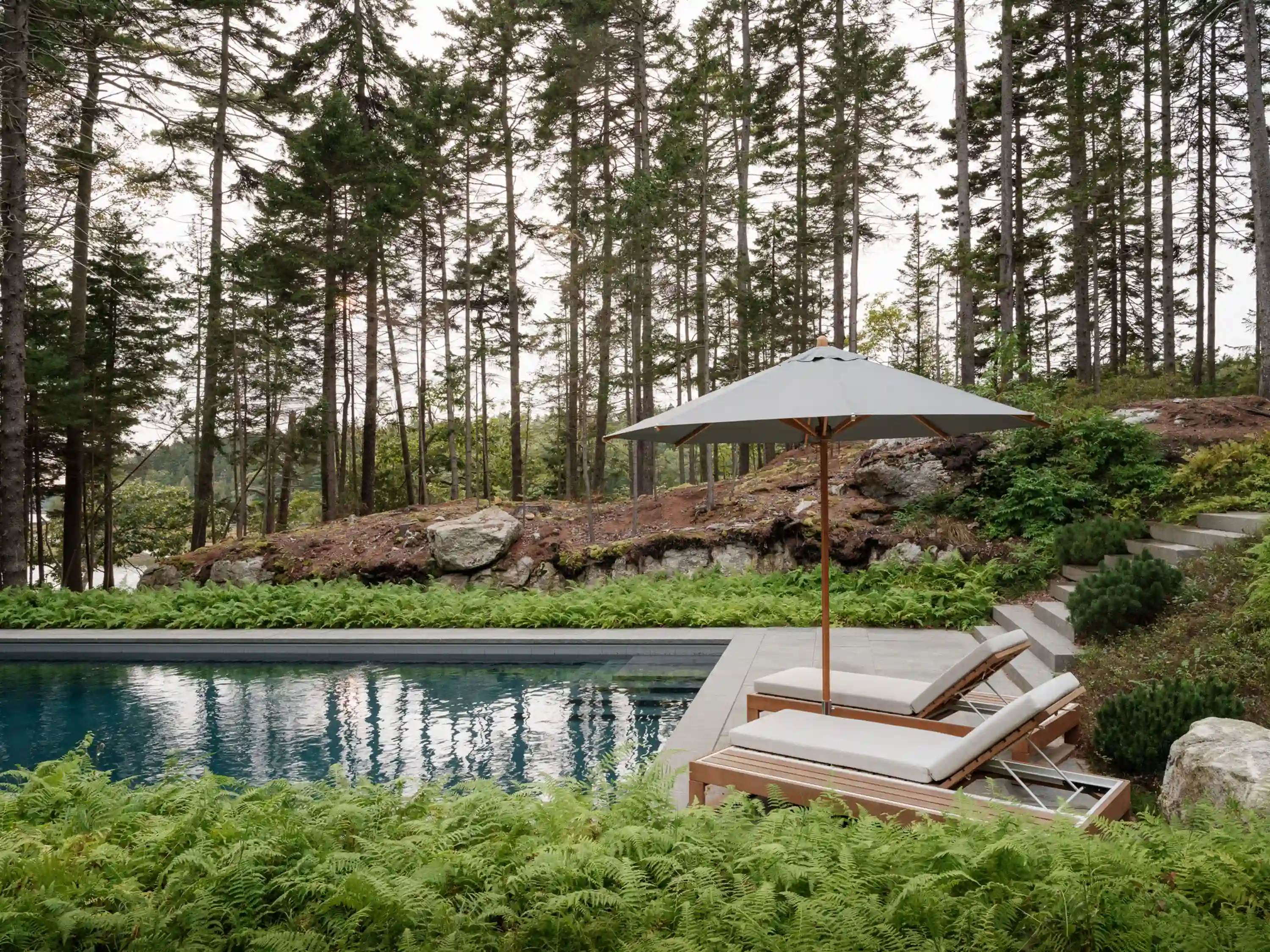 Pine Cover Woodhull