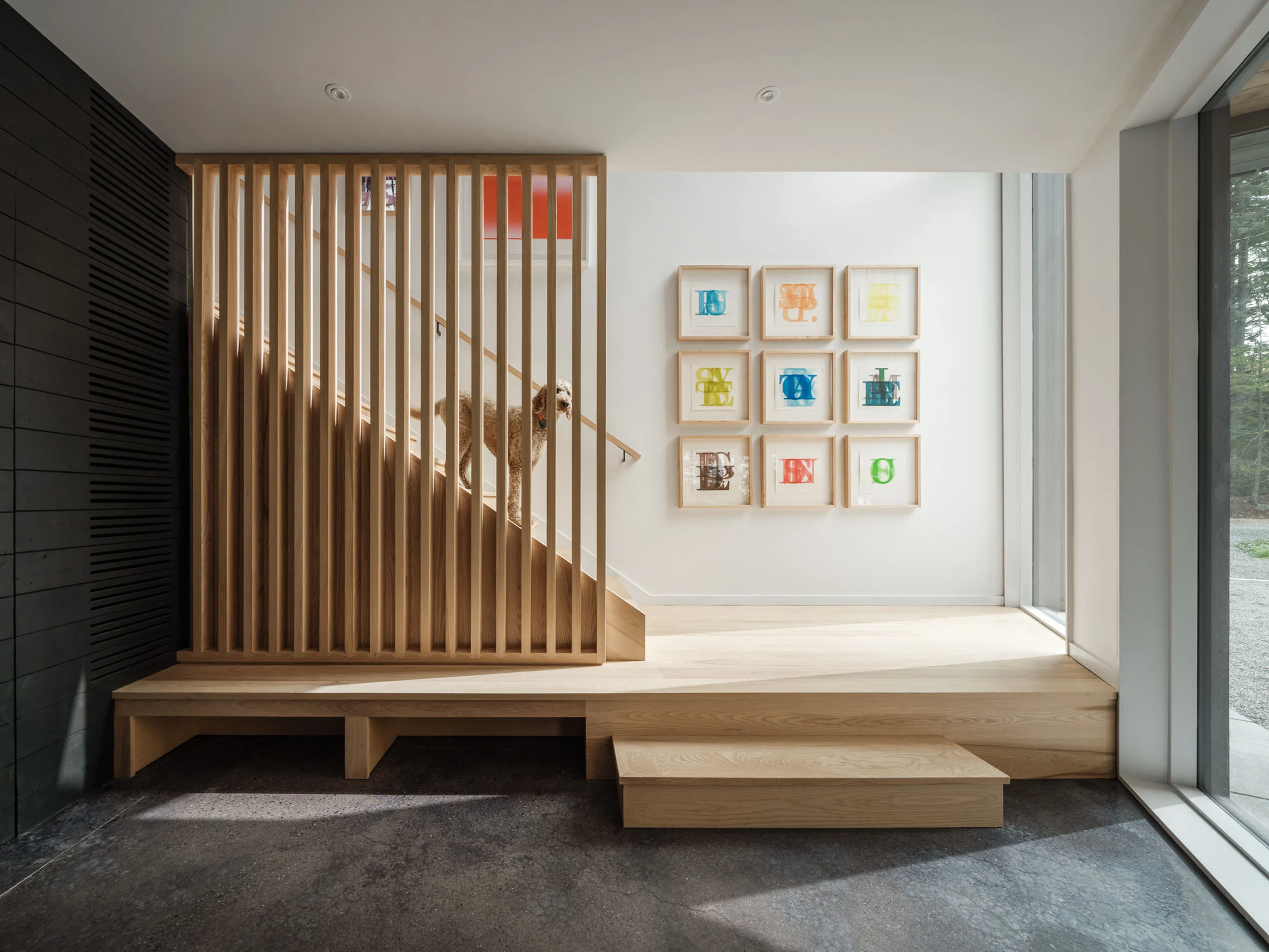 Pine Cover Woodhull