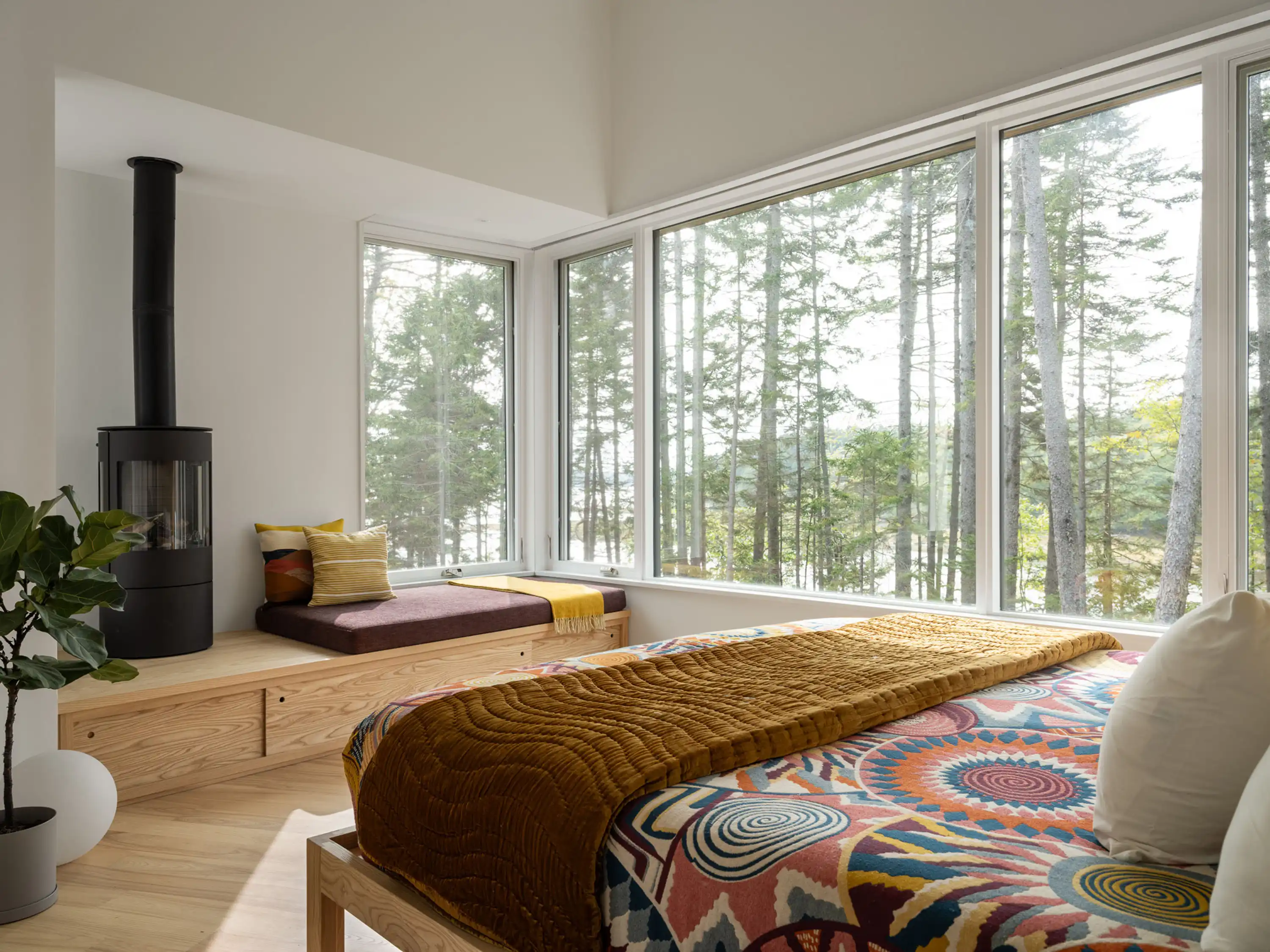 Pine Cover Woodhull