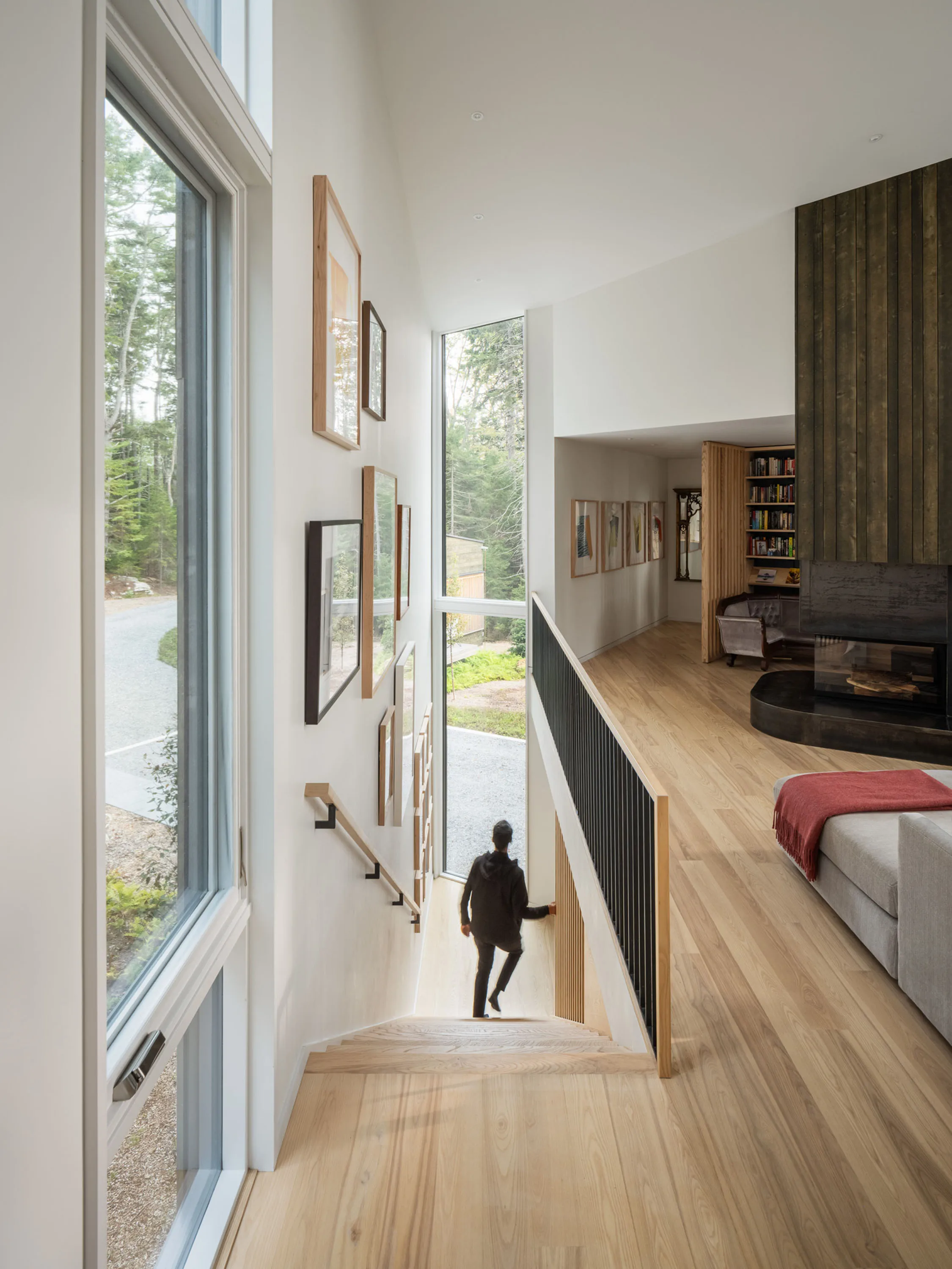 Pine Cover Woodhull