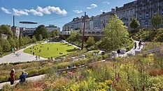 2402-Landscape-F.jpg