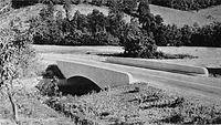 Local roads