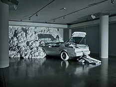 Snarkitecture