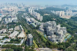 The Interlace