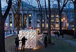 Pavilion-of-Plastic-and-Algae-625px.jpg