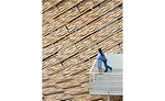 Milan Expo