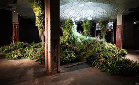 The Lowline Lab