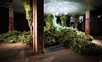 The Lowline Lab