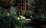 The High Line