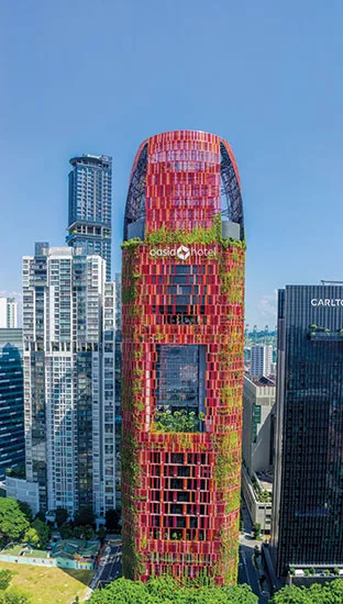 Biophilia