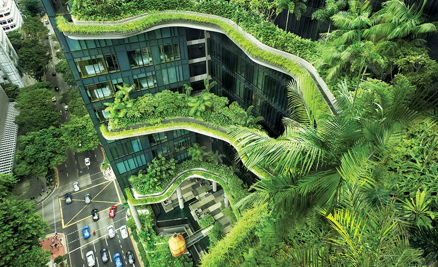 Biophilia