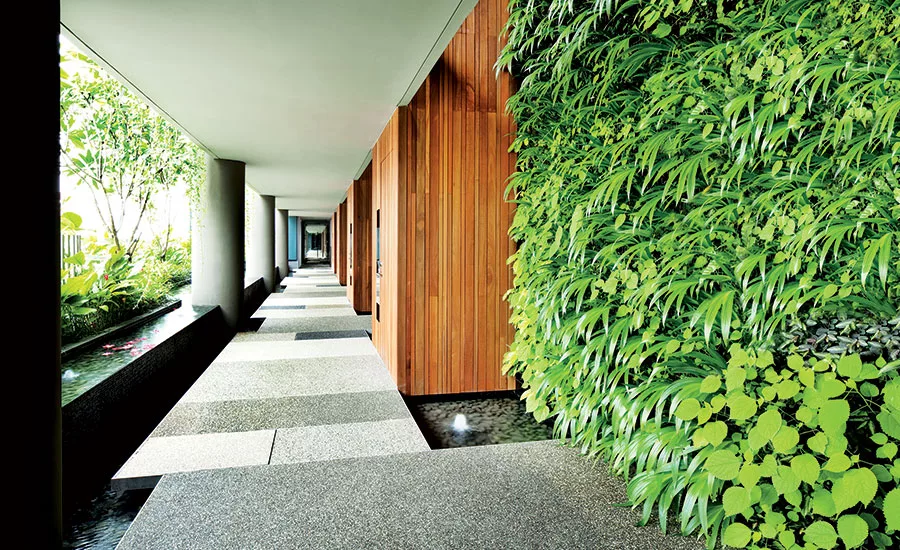 Biophilia