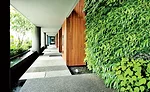 Biophilia