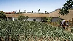 CUAC Arquitectura