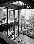 The Ford Foundation