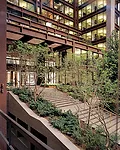 The Ford Foundation
