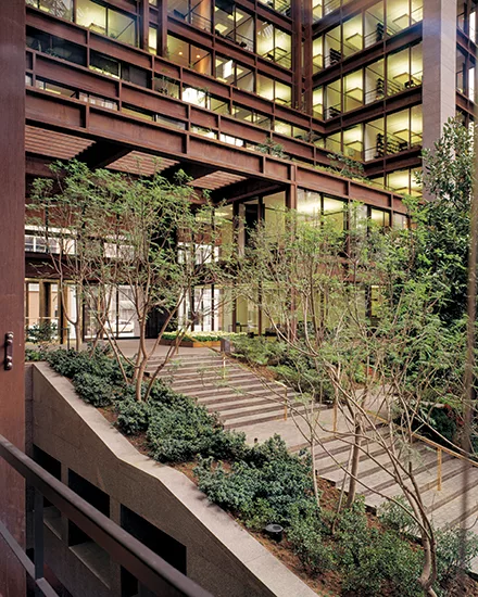 The Ford Foundation