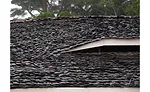 Ilima Primary School