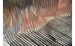 DFW Firm To Watch Variable Projects