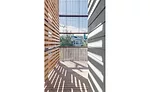Shotgun Chameleon House balcony