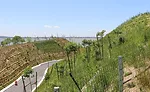 Governors Island