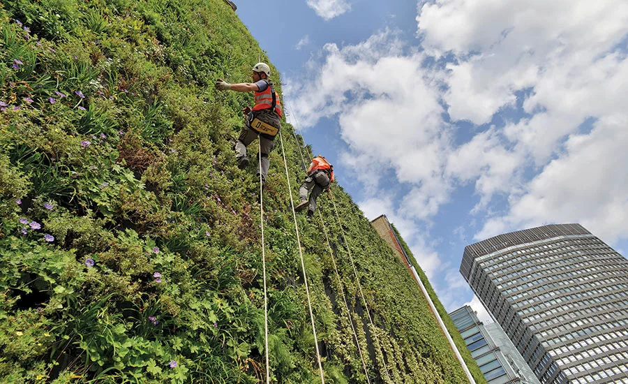 Green Walls