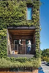 Green Walls
