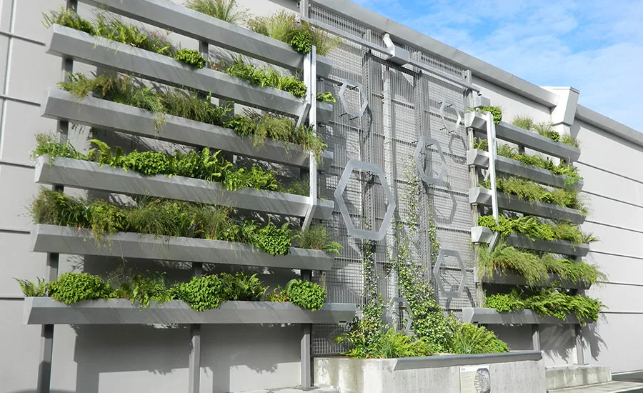 Green Walls