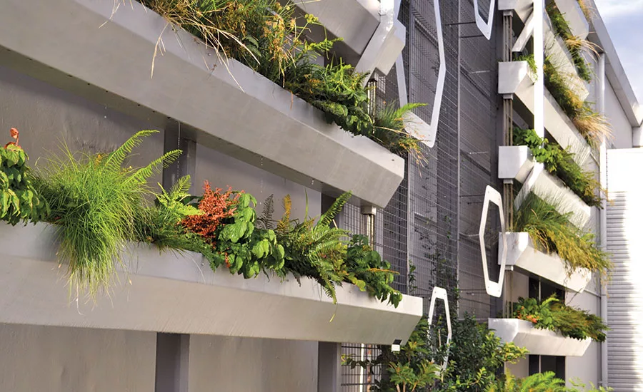 Green Walls