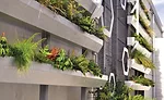 Green Walls