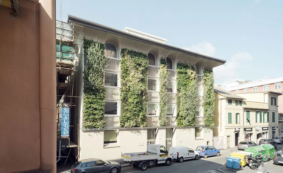 Green Walls