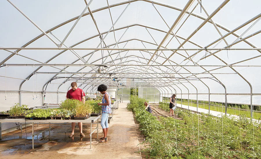 Sustainable Campus Development