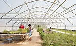 Sustainable Campus Development