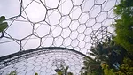 Film Festival Celebrates Design