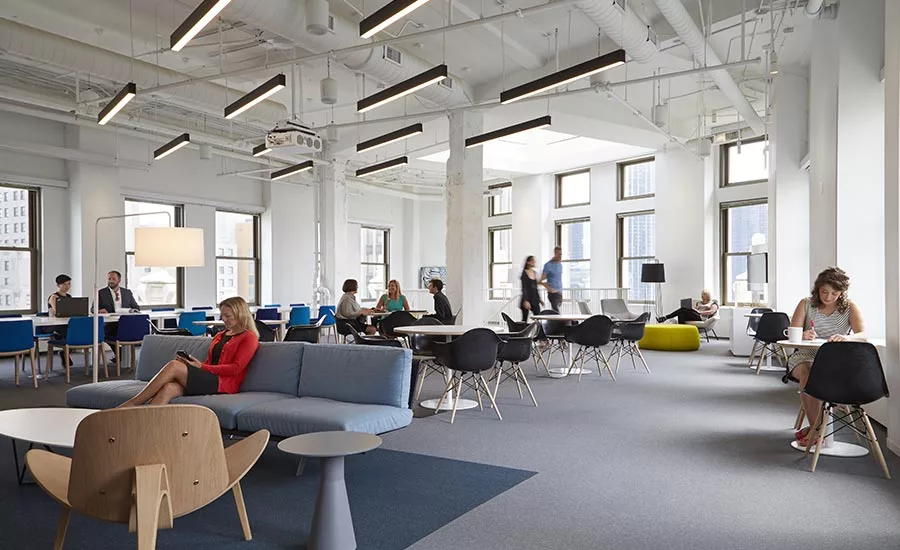 Perkins + Will Offices