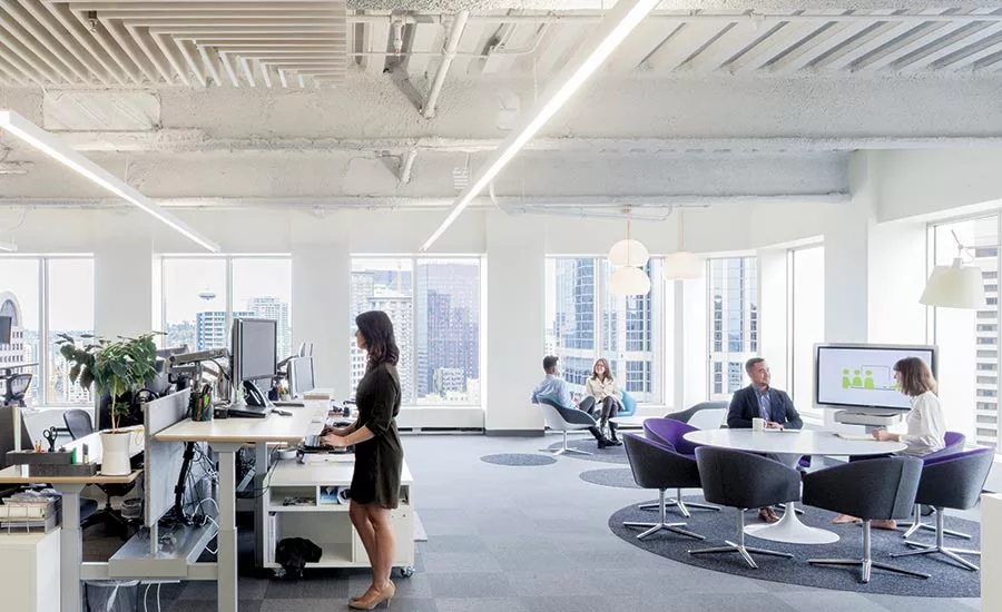 Perkins + Will Offices
