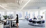Perkins + Will Offices