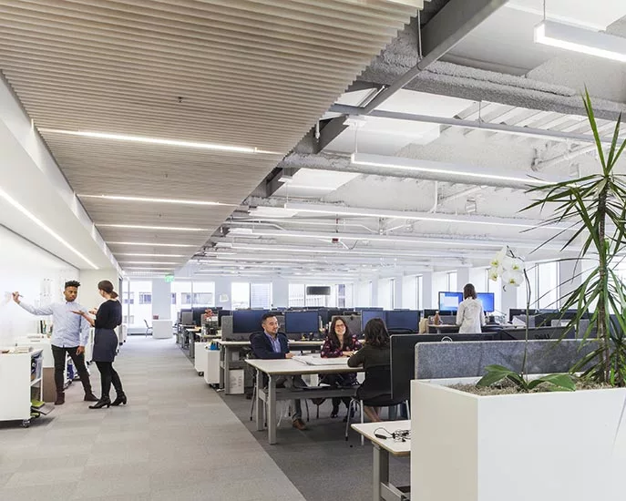 Perkins + Will Offices