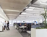 Perkins + Will Offices