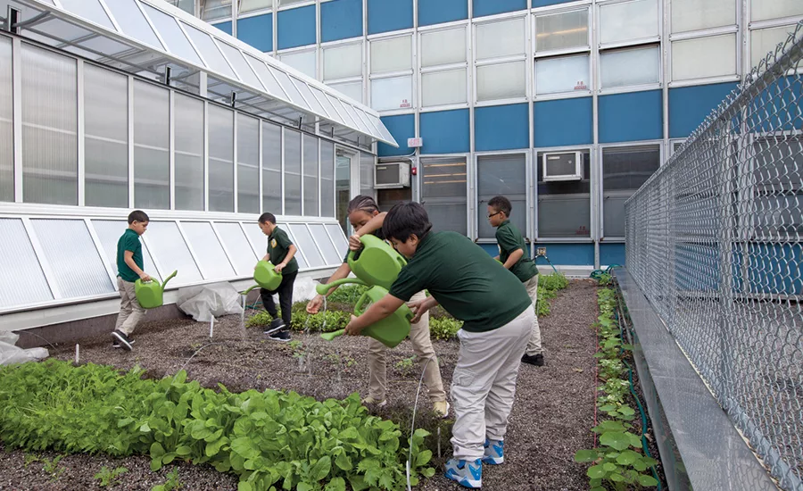 Edible Schoolyard