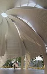 Continuing Education: Acoustics